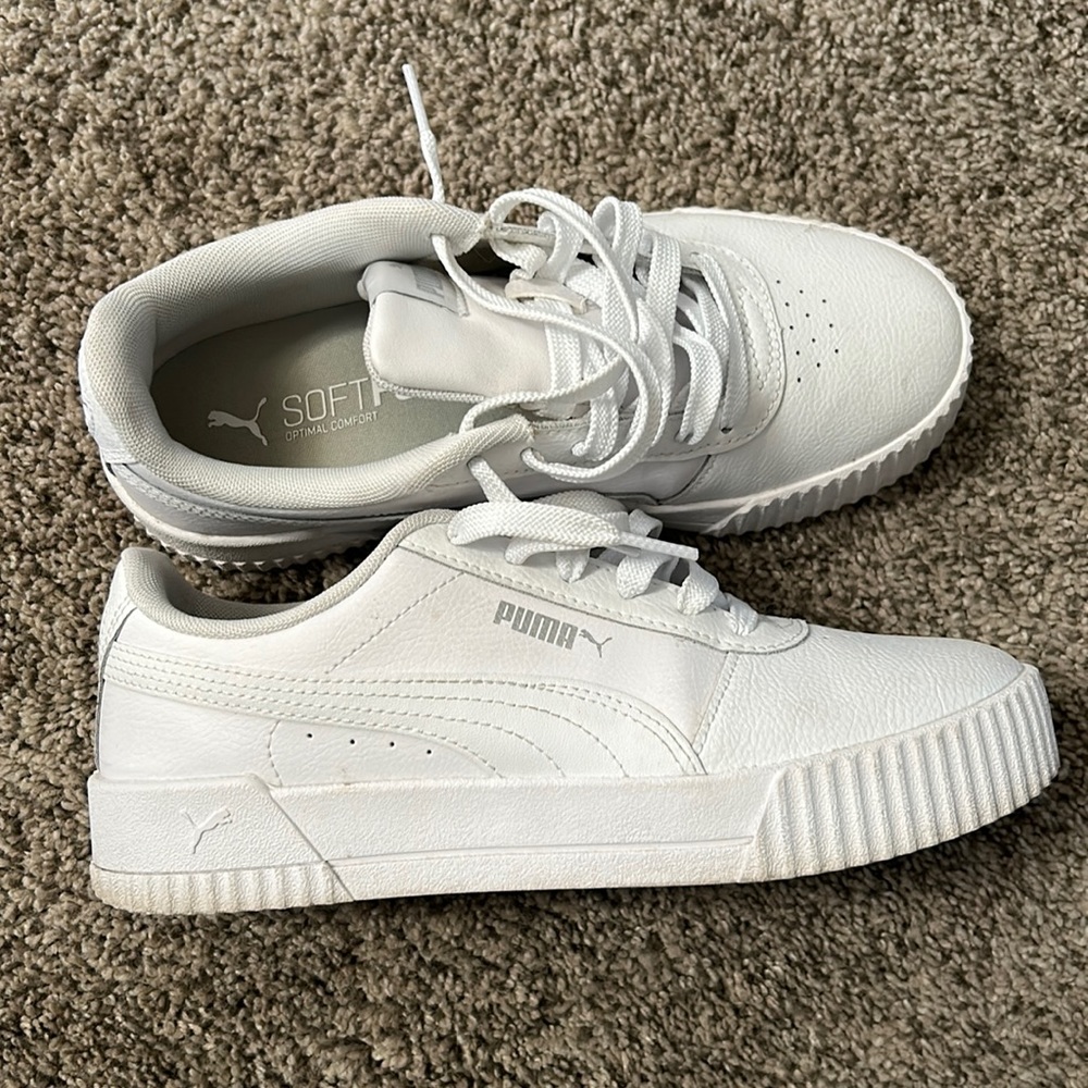 White pumas